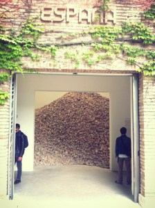 Paglione spagnolo, Biennale di Venezia 2013, opera di Lara Almarcegui 