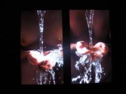 Bill Viola