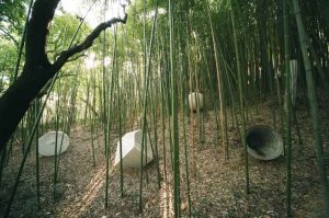 Robert Morris, Caludio Parmiggiani, Melancolia II