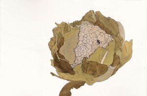 Le case degli altri bambini