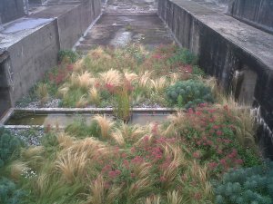 tumblr_m8weaplr0y1qkdkk6o1_1280