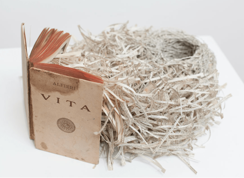 screen-shot-2014-01-28-at-2-19-14-pm