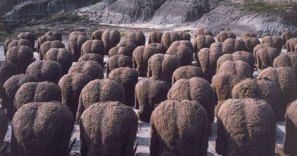 03bcedbf0a6a290a3b29aa1a77ba2c44