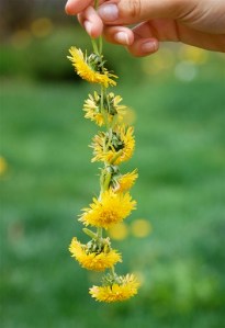 6a00d8341cc08553ef00e5524b0c488833-800wi