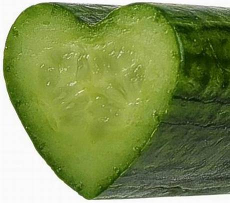 b51004a4007156d592f5fb4b1be08d40