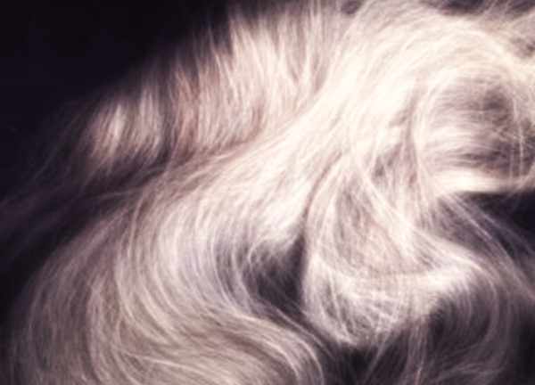 coprire-i-capelli-bianchi