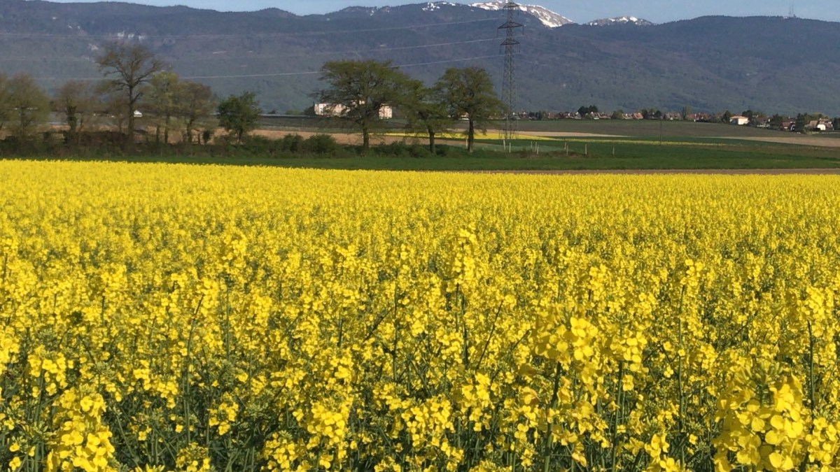 Anche la felicità può essere&nbsp;sostenibile